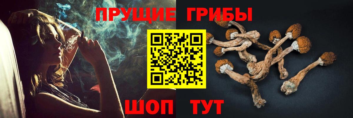Красноуфимск  Галлюциногенные грибы прущие грибы  купить наркотики цена  Вход с VPN  Псилоцибиновые грибы прущие грибы 